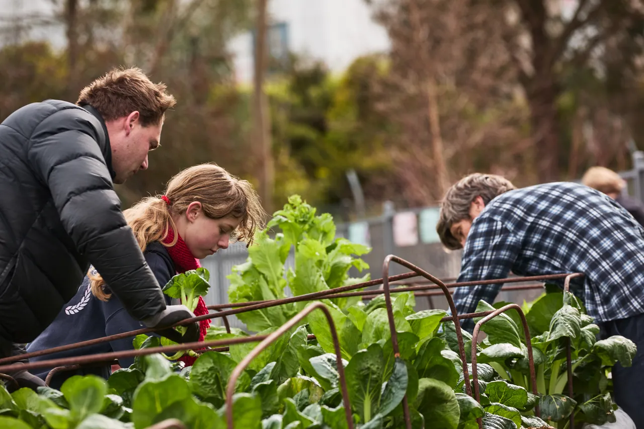 The_Farm_August_2643