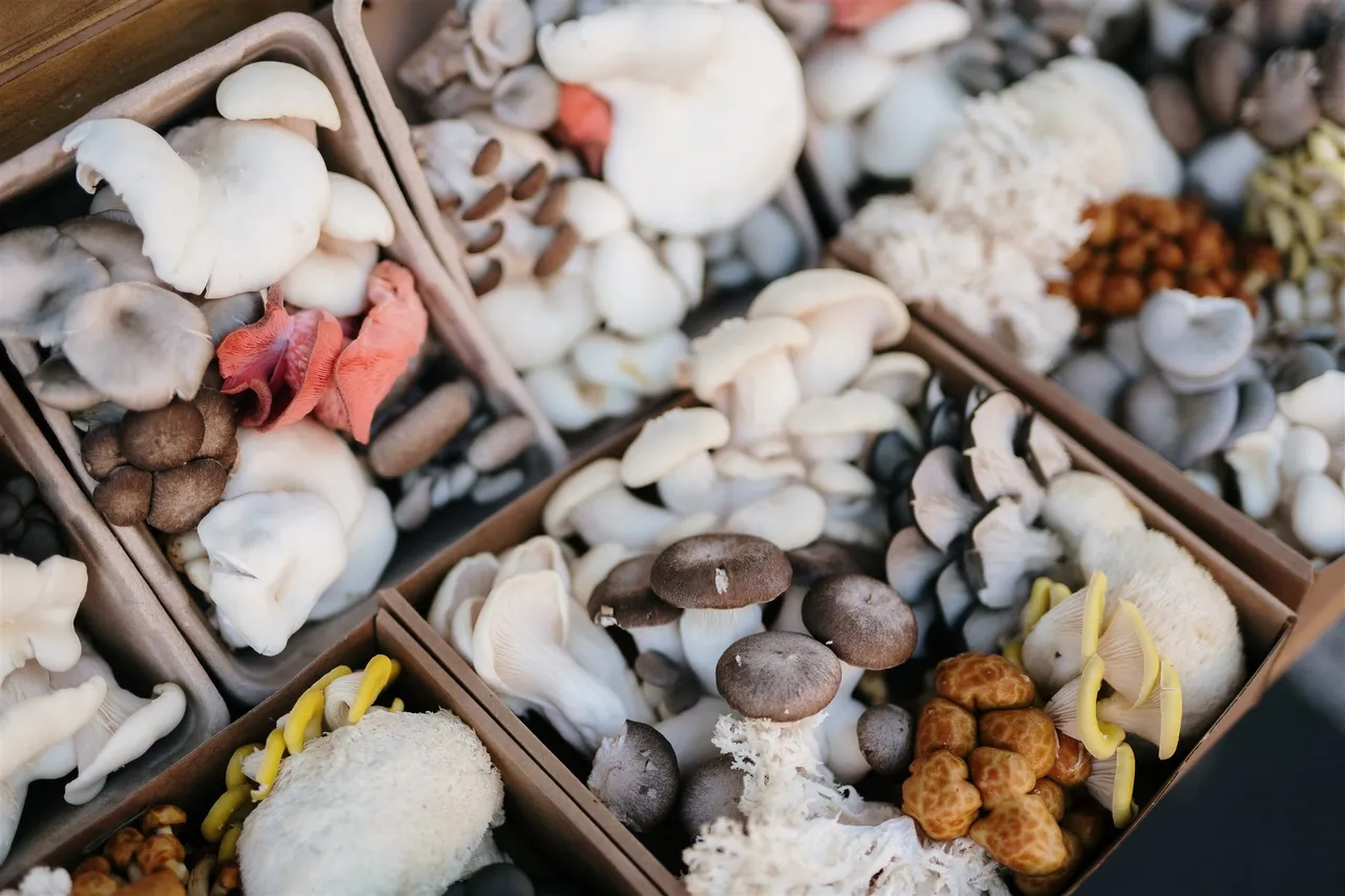 Harvest Market (12)