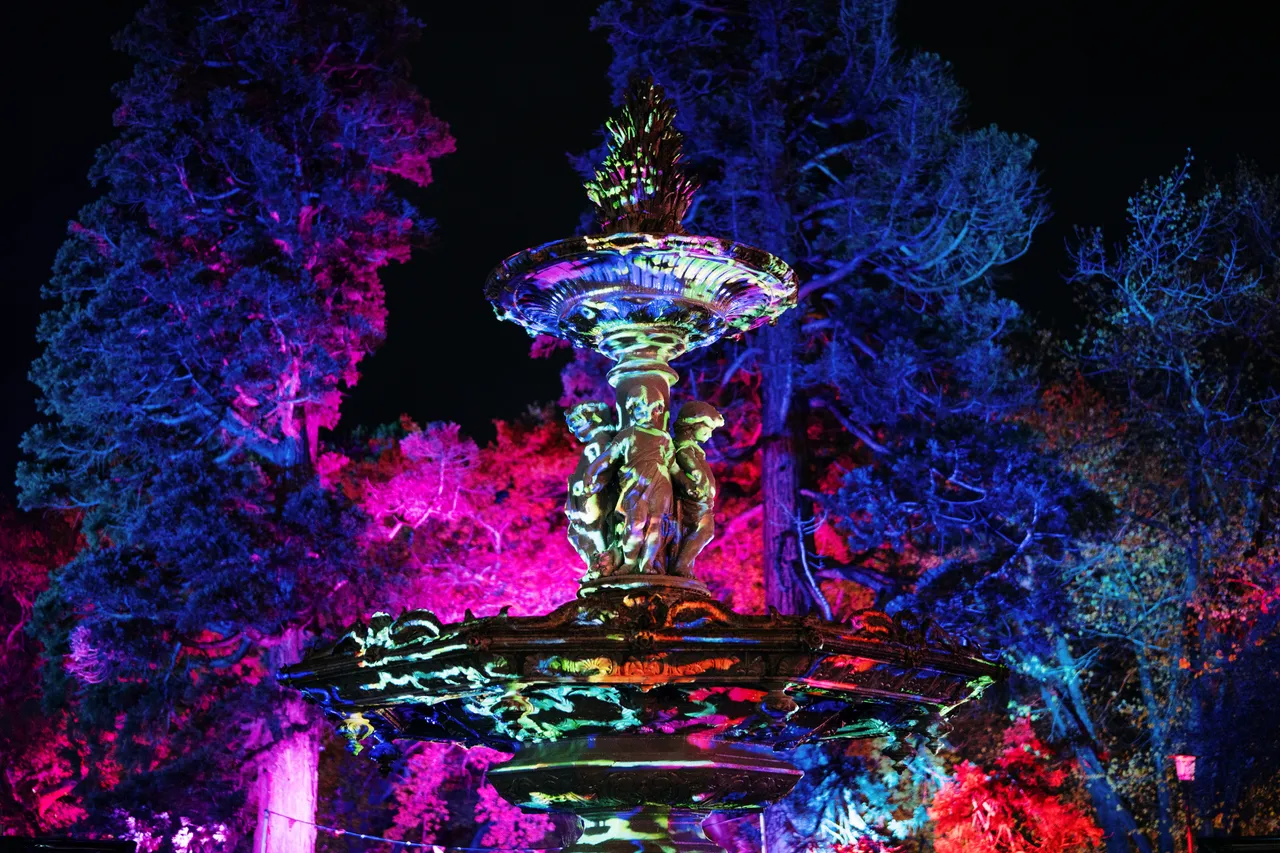 Festivals & Events (31)