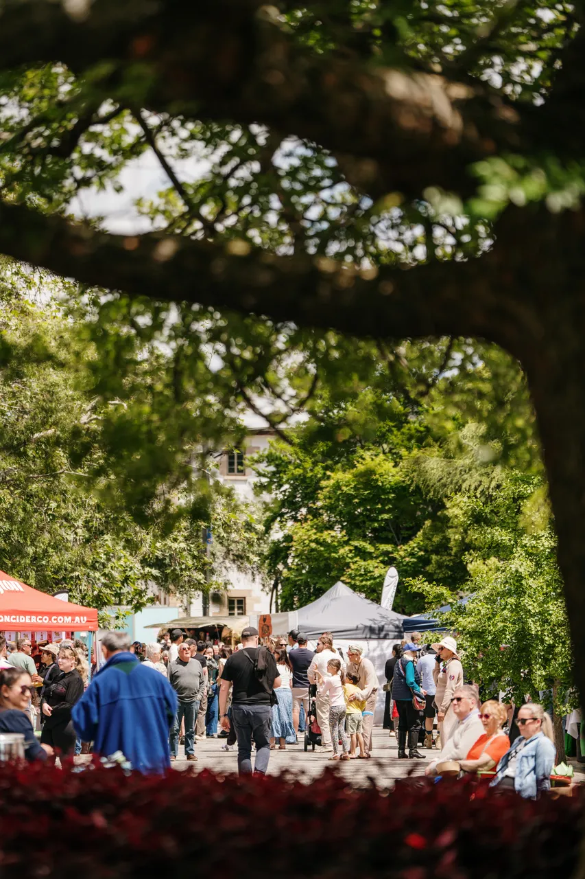 Thai Food Festival 2025 (28)