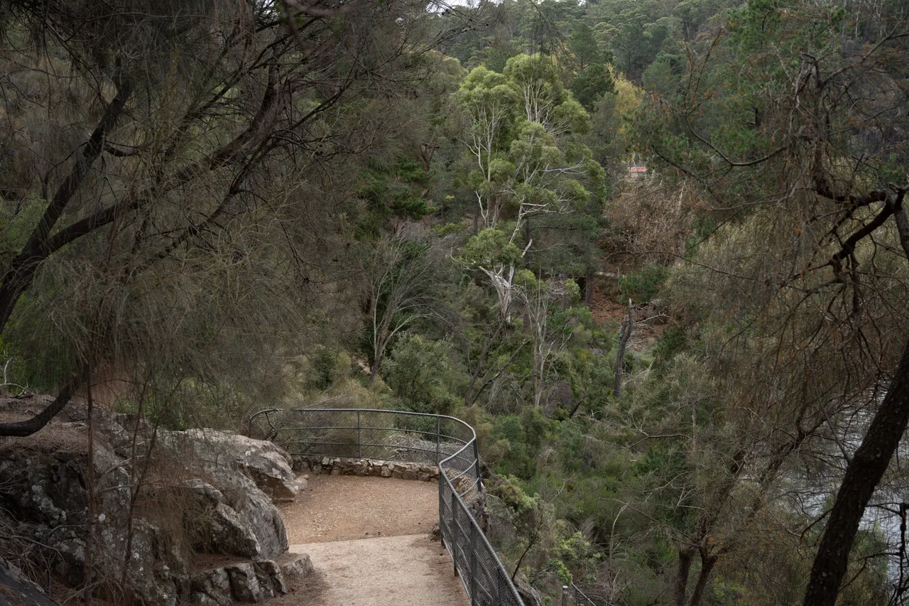 Cataract Gorge 