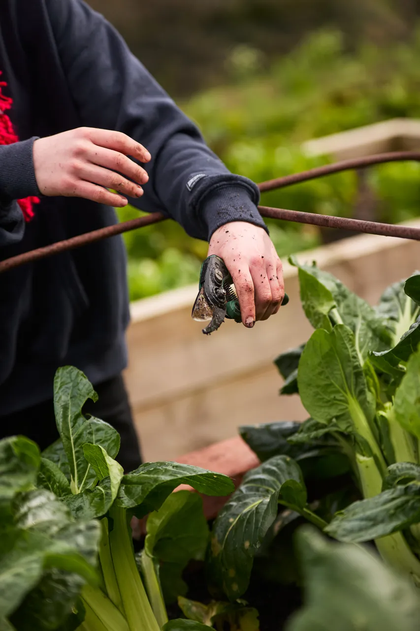 The_Farm_August_2647