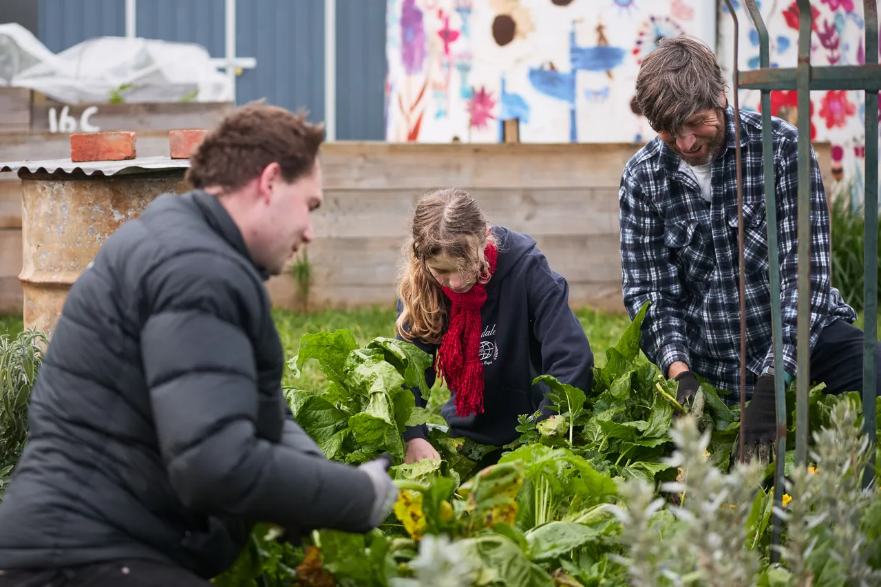 The_Farm_August_2612