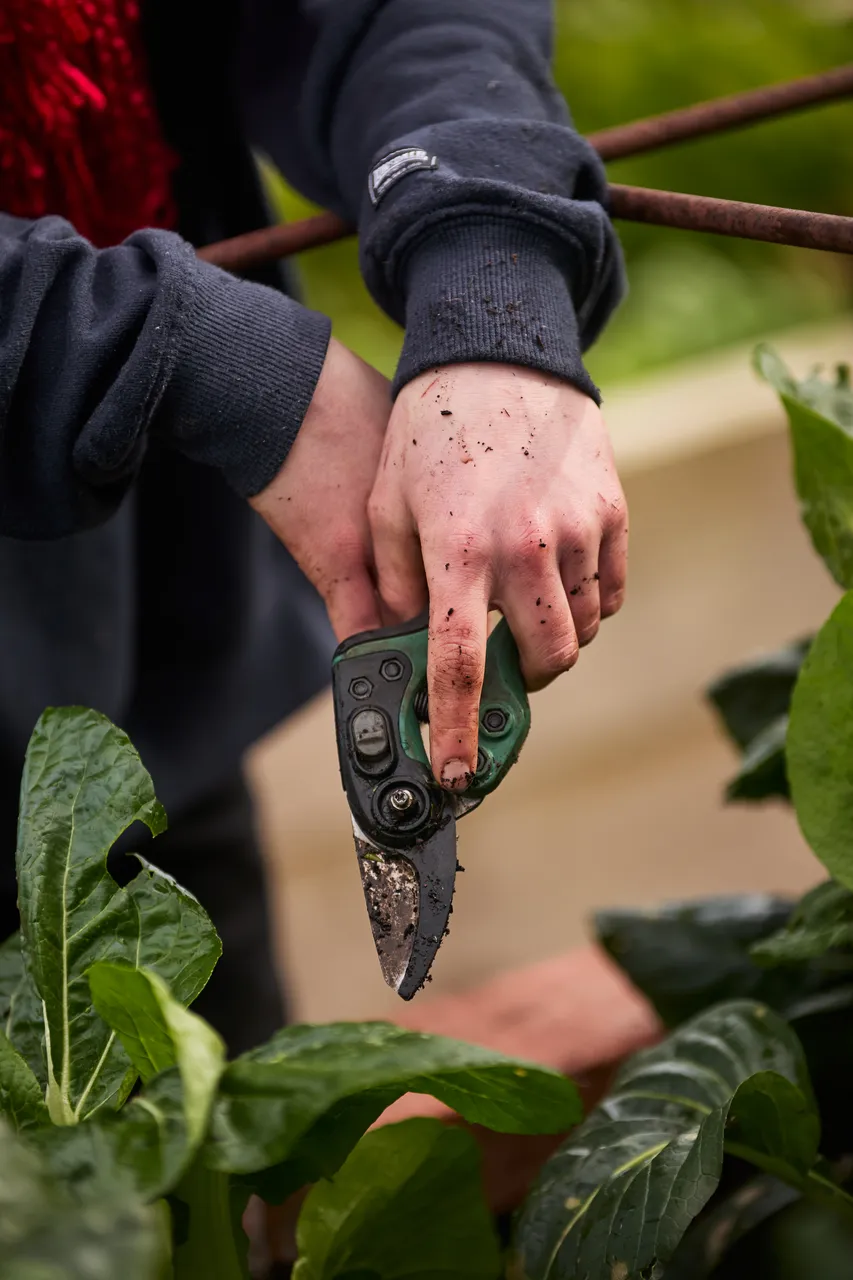 The_Farm_August_2648