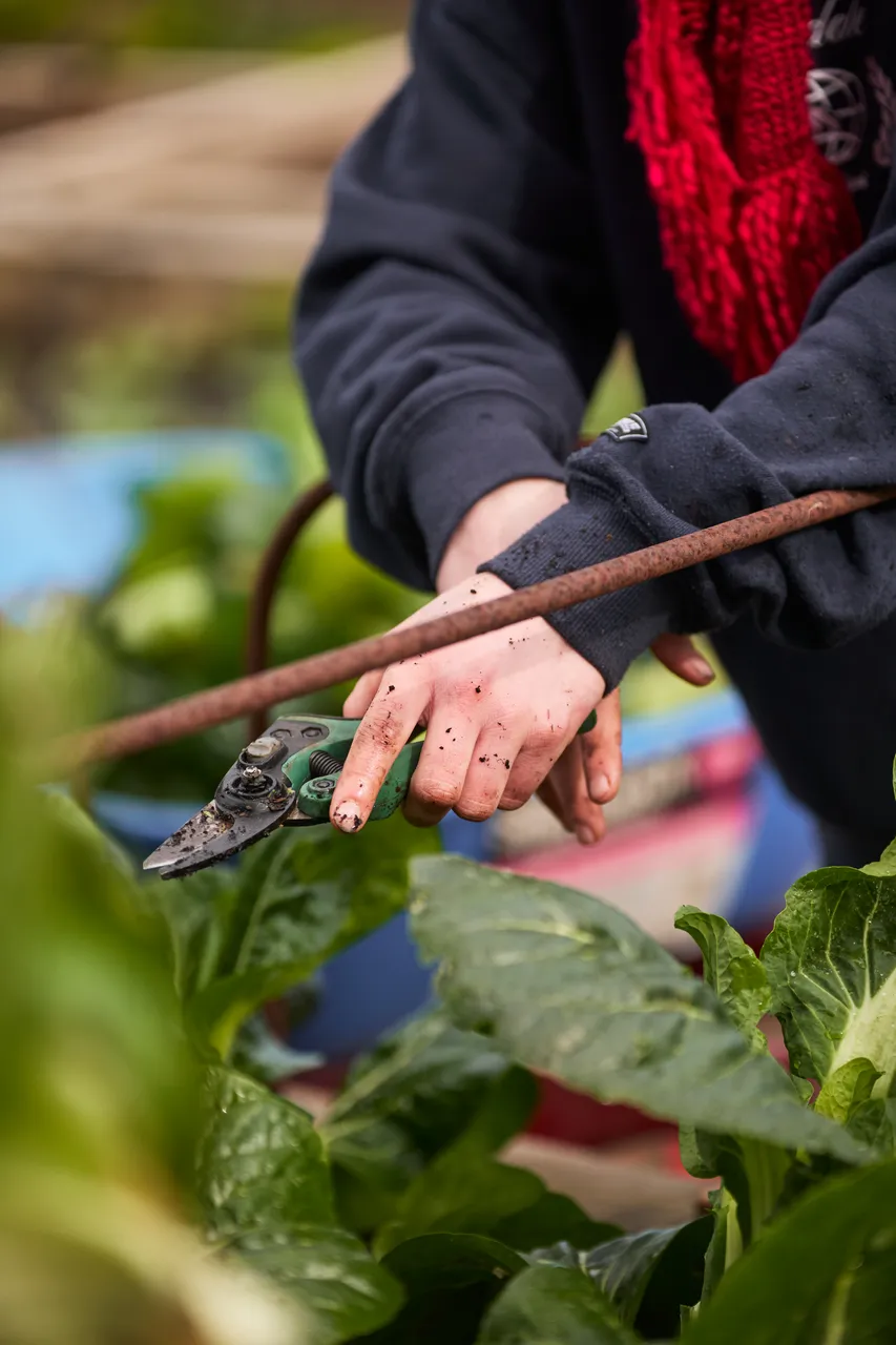 The_Farm_August_2649
