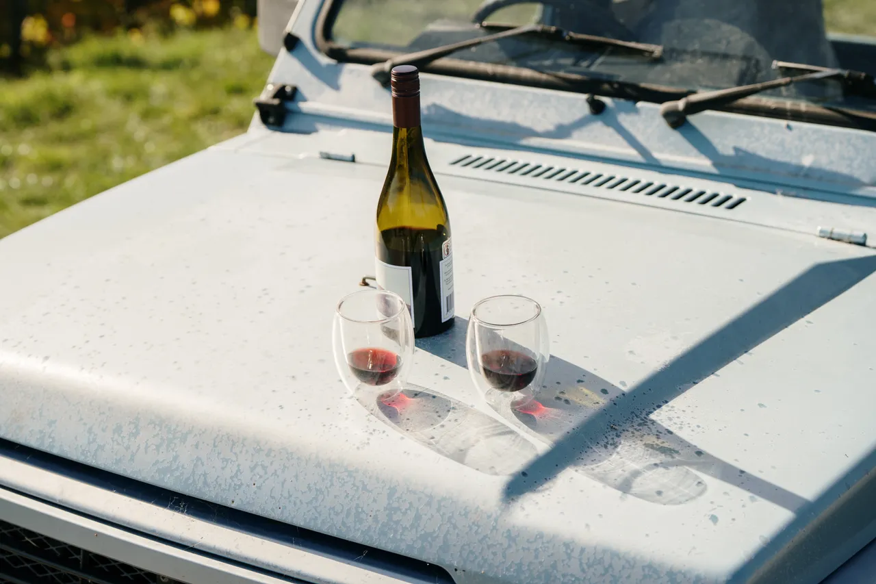 Wine (74)