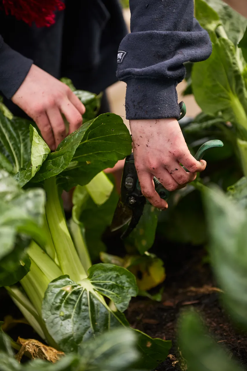 The_Farm_August_2646