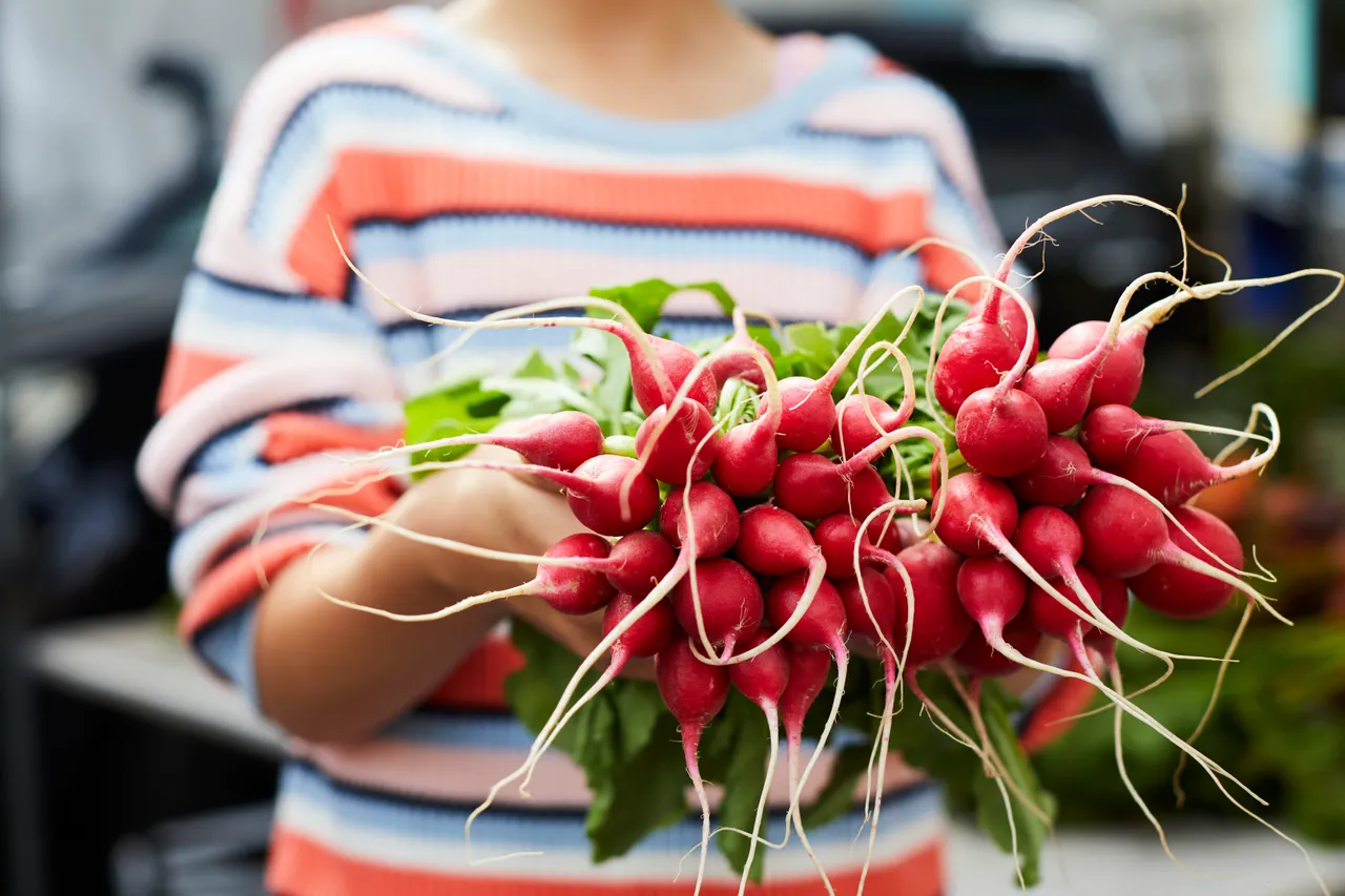 Harvest Market (10)