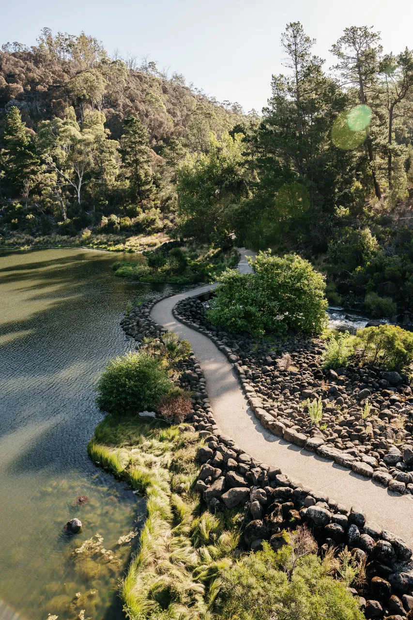 Green Spaces (141)