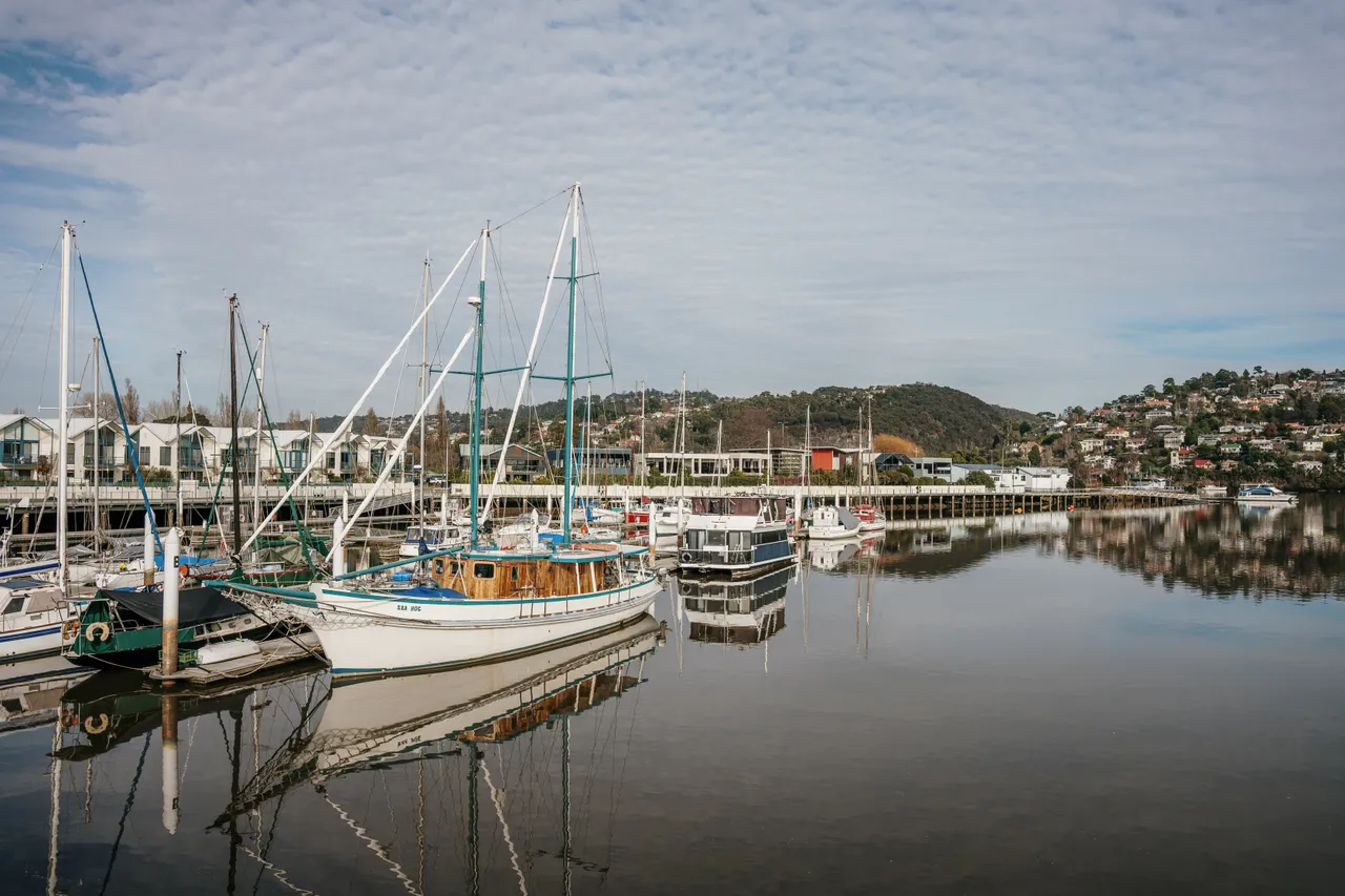 Kanamaluka, Tamar  (3)