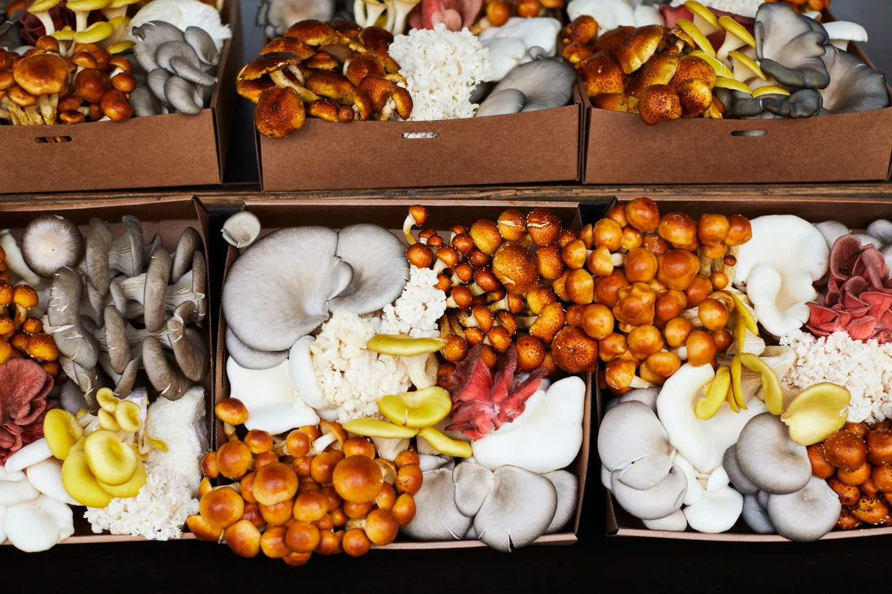 Harvest Market (49)