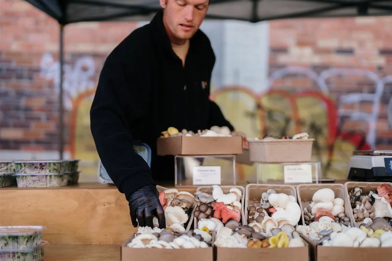 Harvest Market (11)