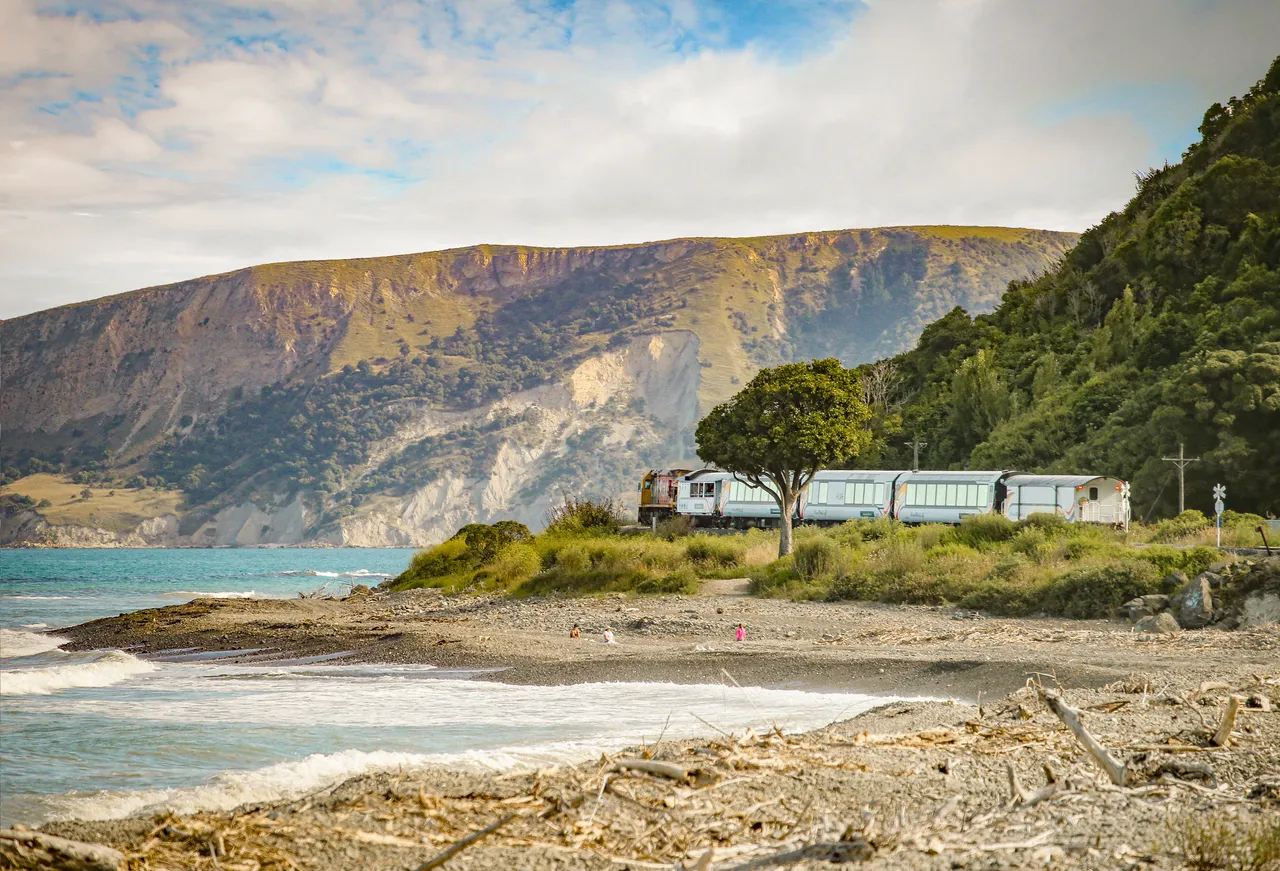 Coastal Pacific scenic train travelling along the Oaro coastline