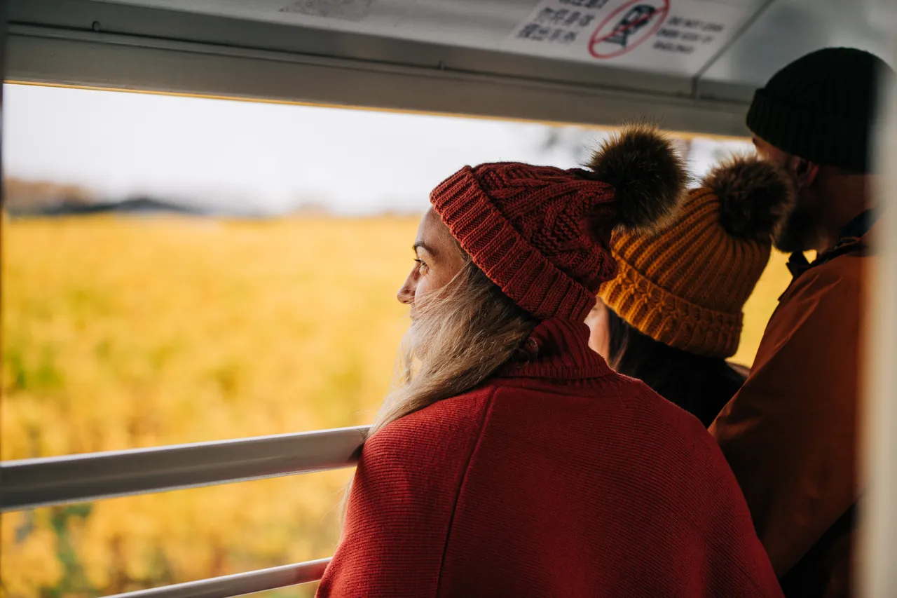 Views from open air carriage in autumn