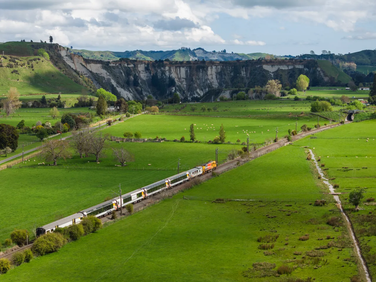 Northern Explorer travelling through farmland by Rangitikei Viaduct