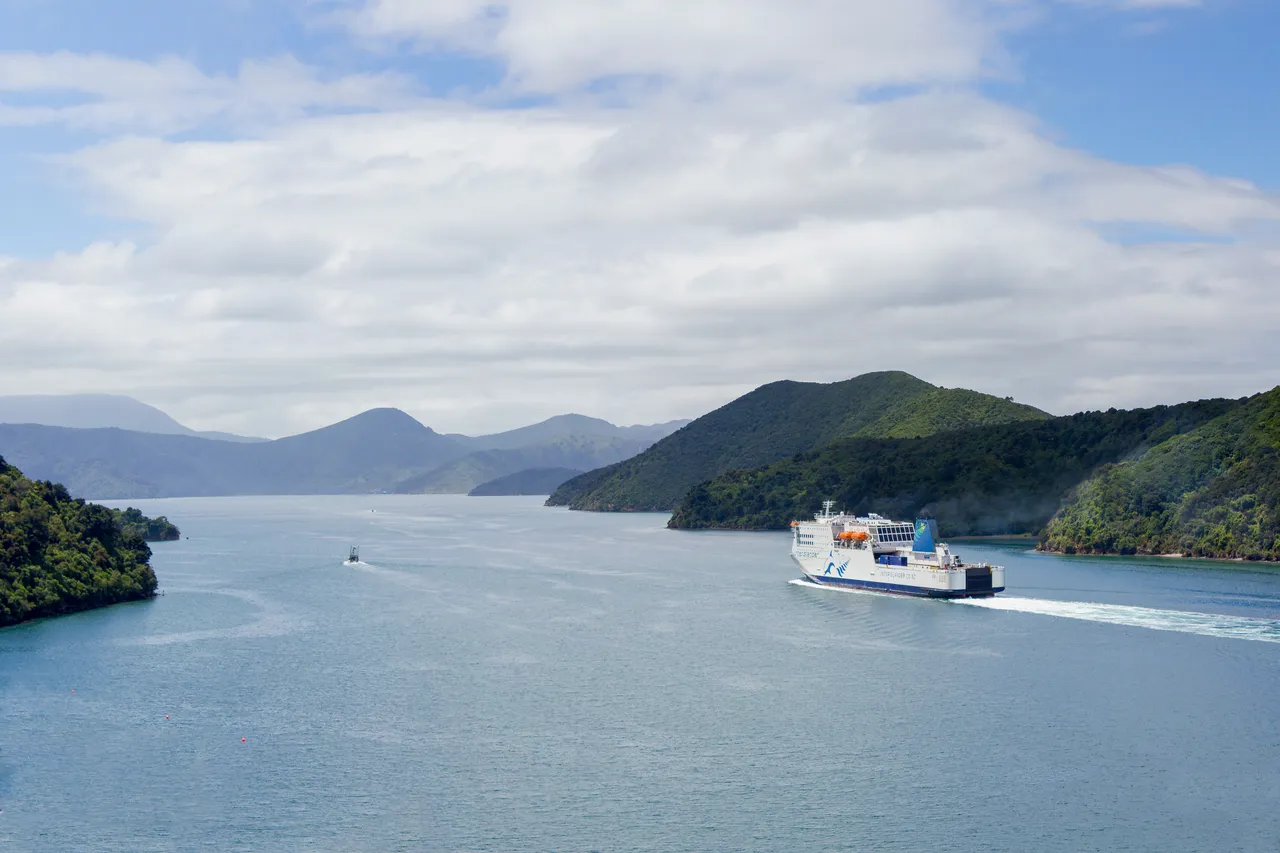 183975-scenery-kaitaki-leaves-picton (1)