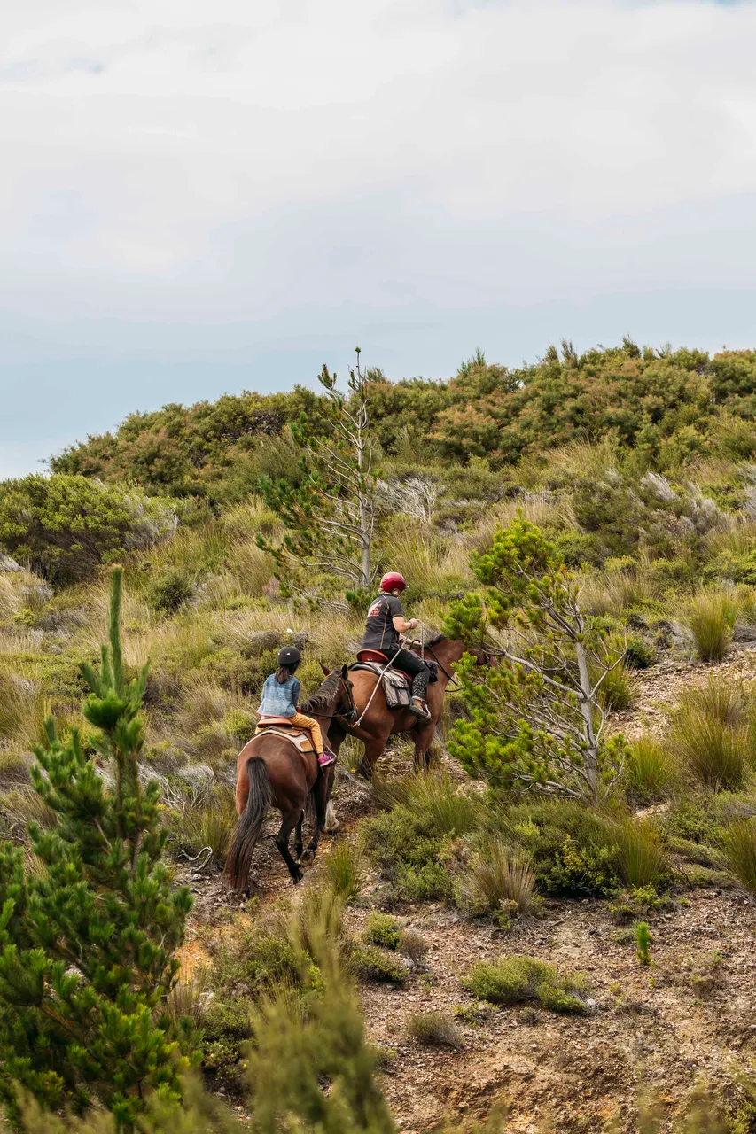 Horseriding Uphill Golden Bay