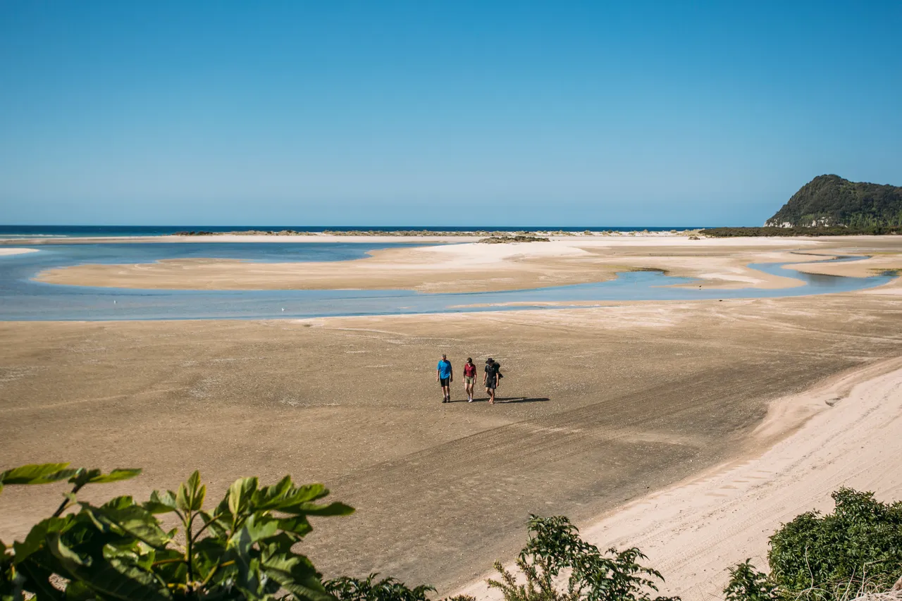 People Walking At Awaroa Beach Low Tide