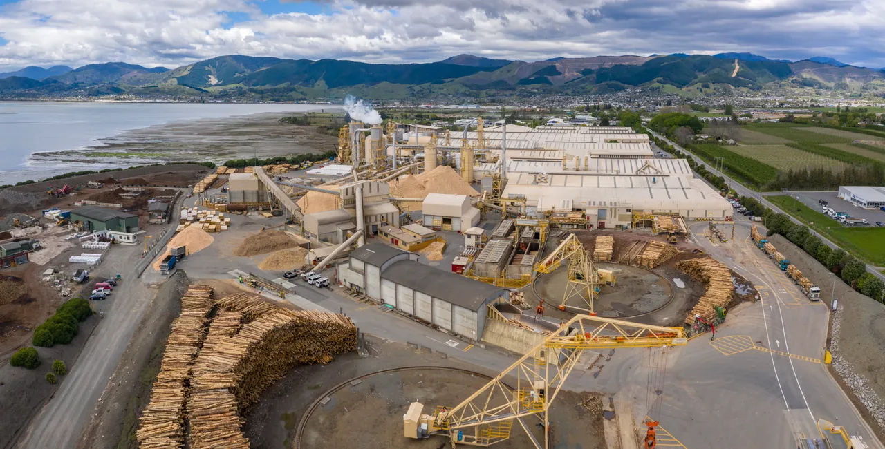 Nelson Pine Industry