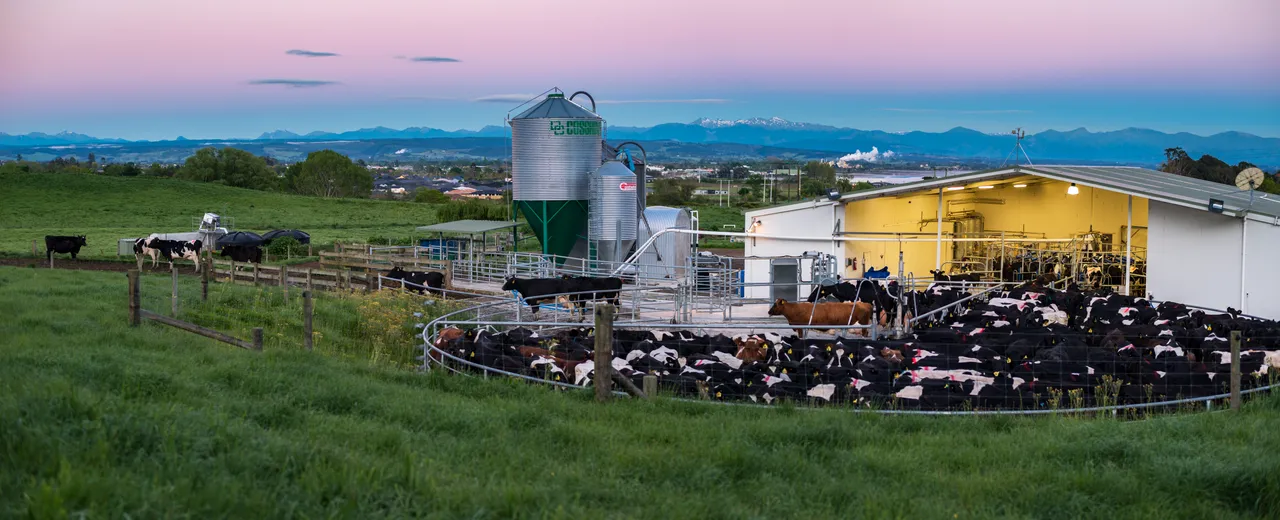 Dairy Farm in Stoke