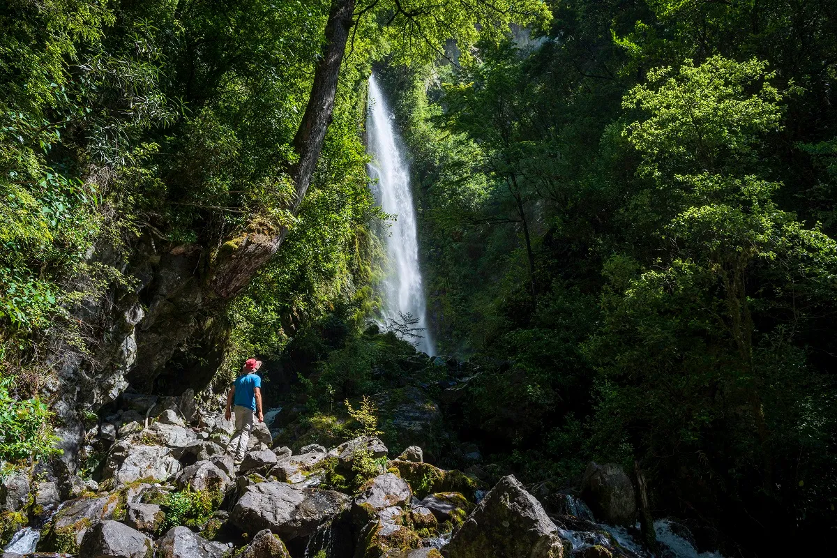 Whisky Falls at Lake Rotoiti