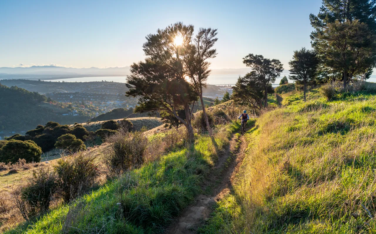 Mountainbiking in Nelson City