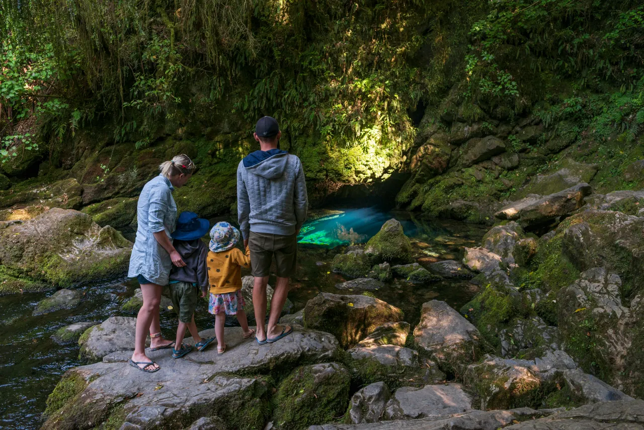 Family At Riwaka Resurgence