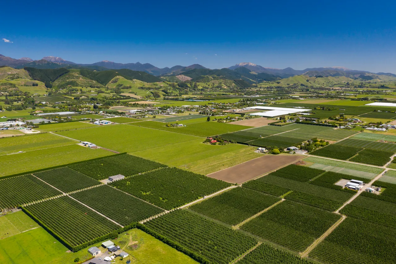 Waimea Plains