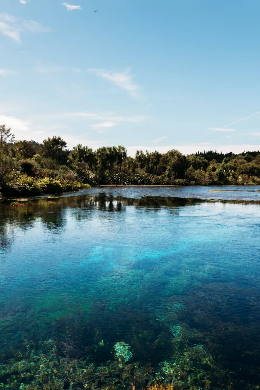 Te Waikoropupu Springs Portrait
