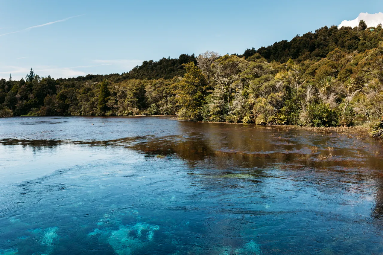 Te Waikoropupu Springs