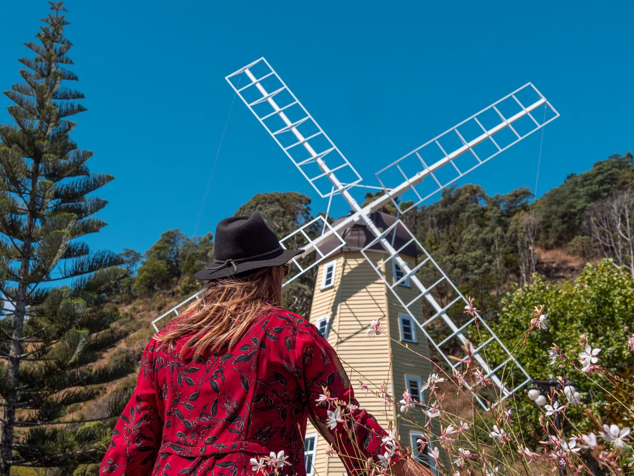 Founders Heritage Park Windmill