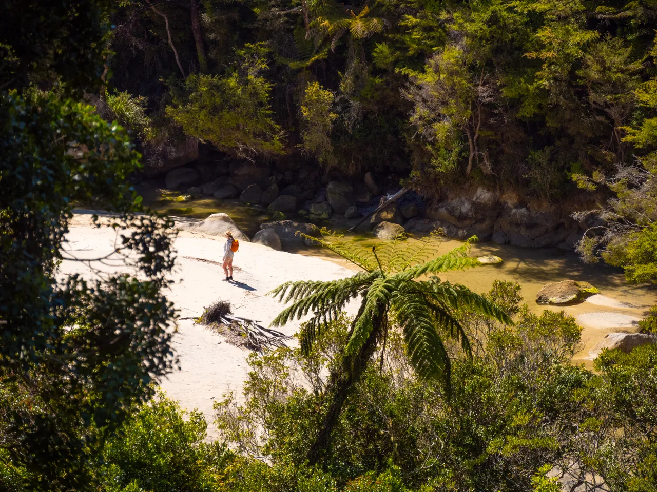 Beach Stop Abel Tasman Coast Track
