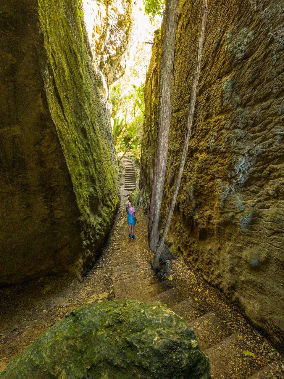 The Grove Scenic Reserve