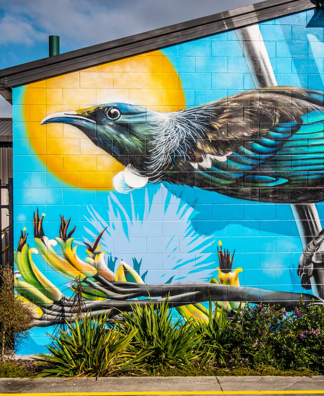 Tui Mural by Charles & Janine Williams in Neale Park Close Up