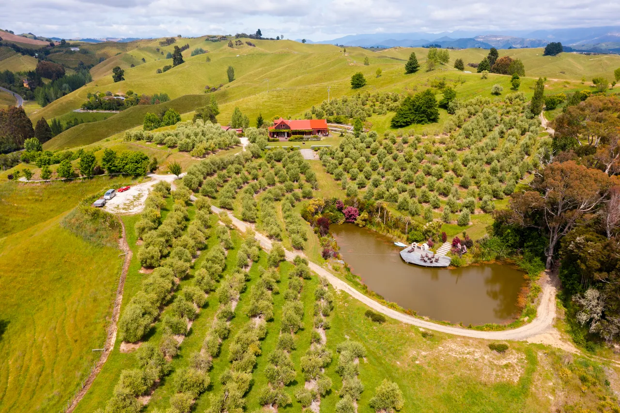 Neudorf Olives Aerial