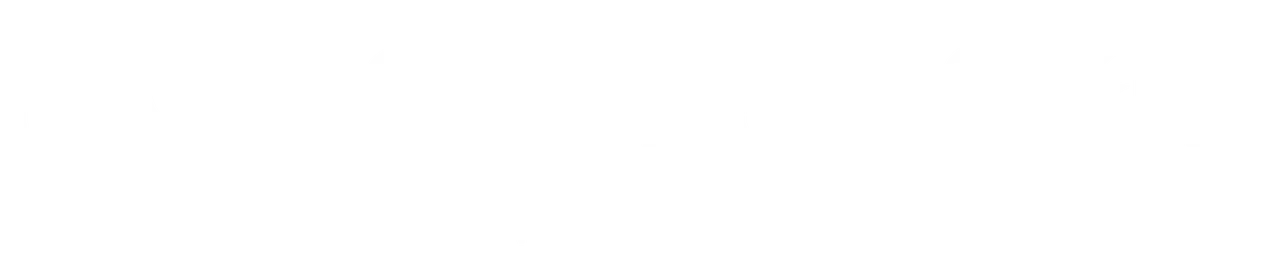 NT_logo_RGB_NT_horiz2_white