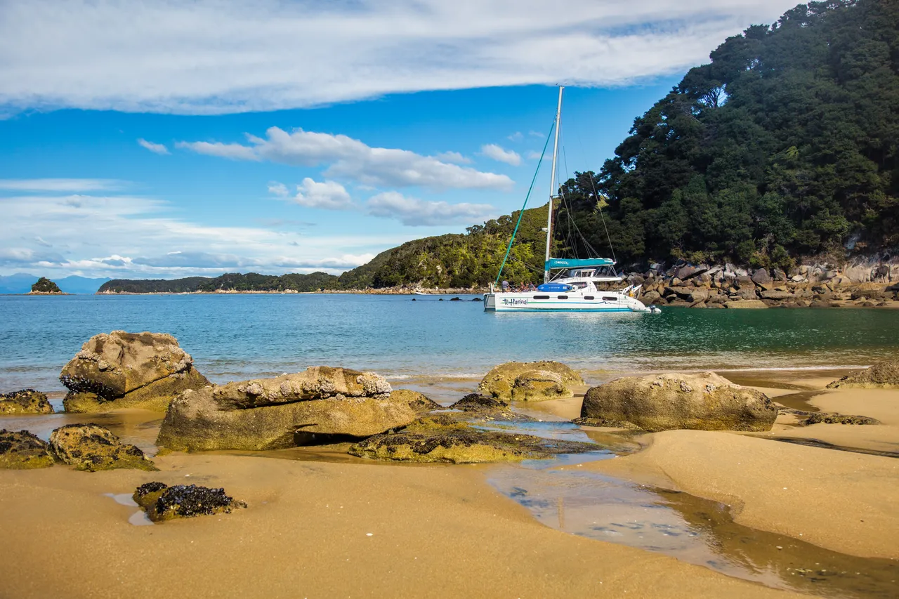 Abel Tasman Sailing Adventures - Private Tours (4)