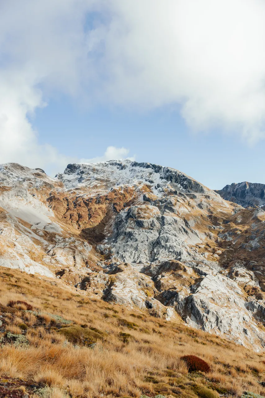 Hiking Tuau Wharepapa (Mt Arthur) by Aimee Jules credit NelsonTasmanNZ (5)