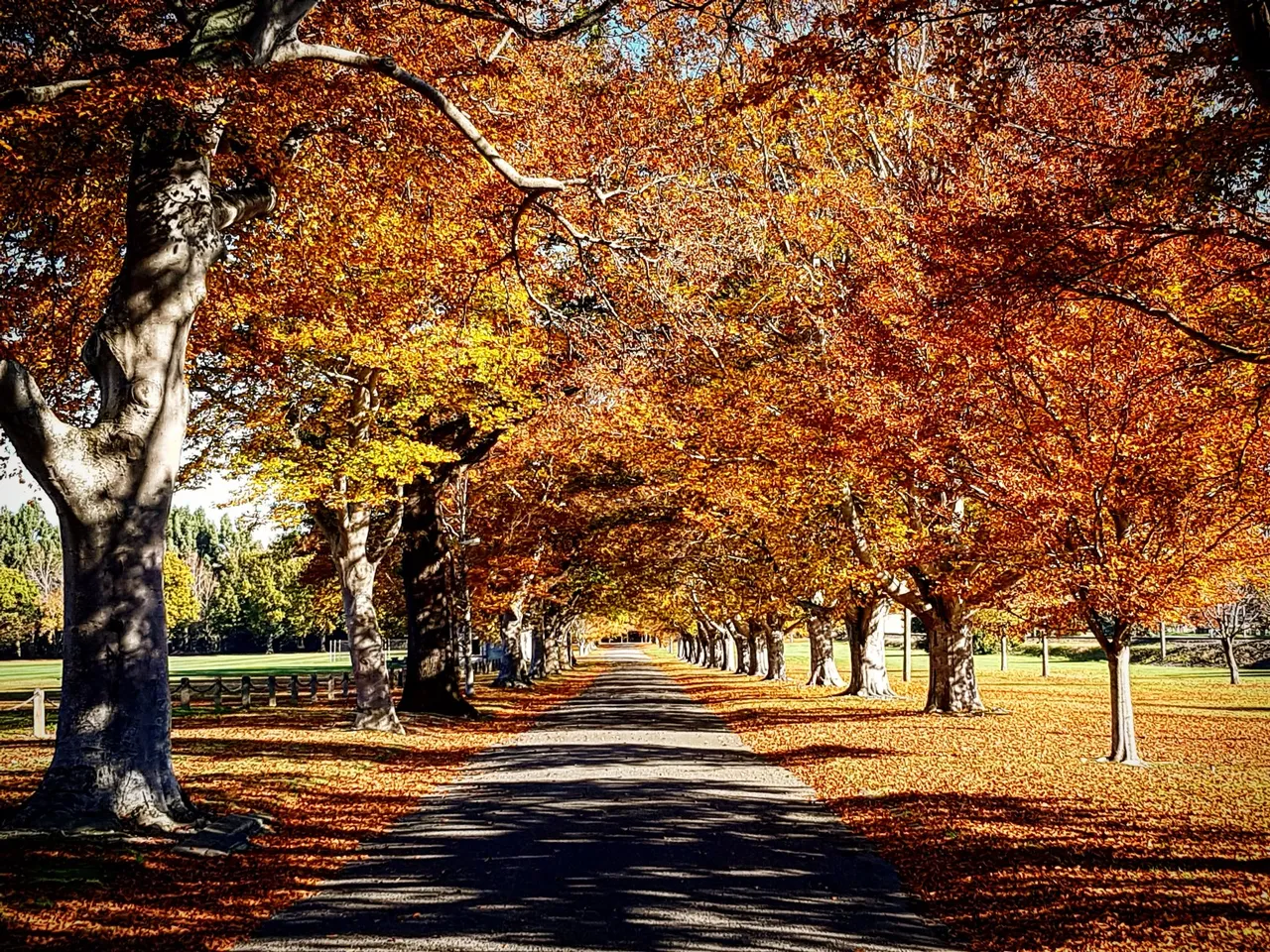 Hamilton Park