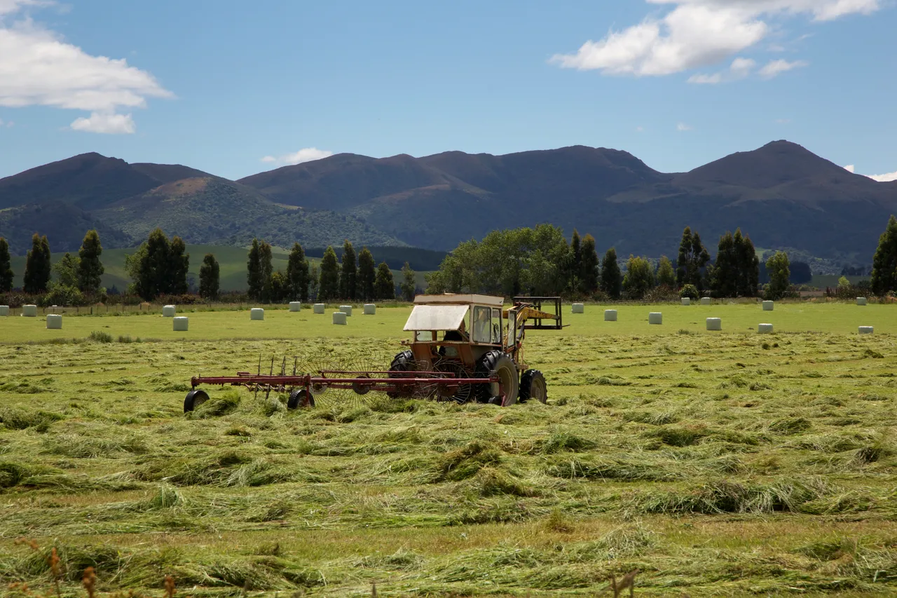 Hay Making