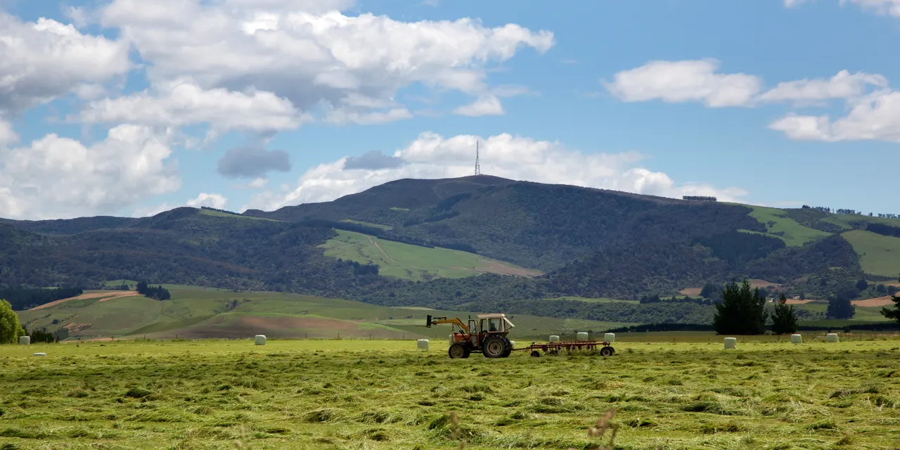 Hay Making