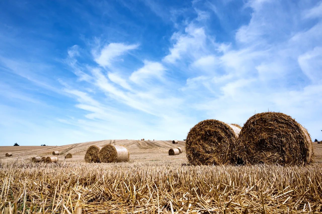 Hay bales in Gore