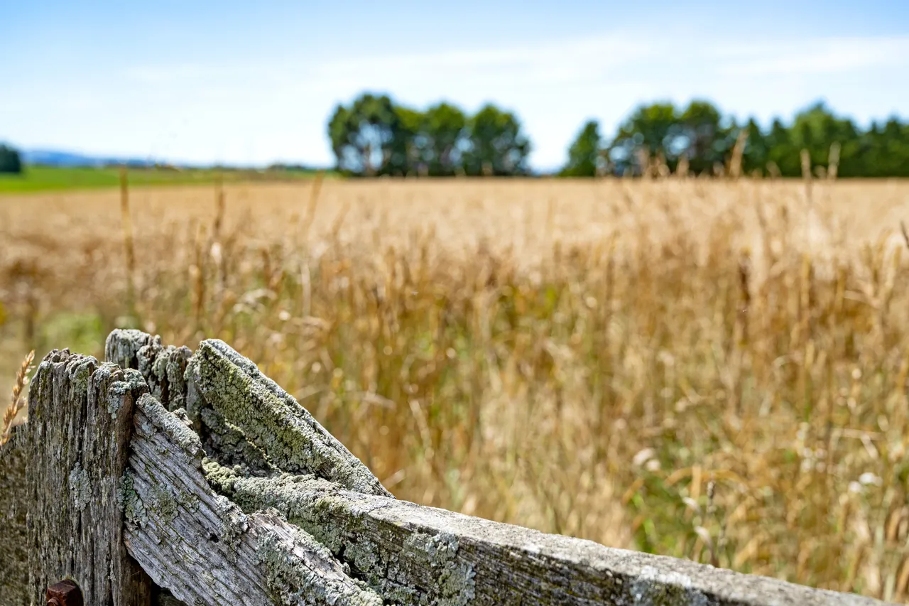 Farmland 2022