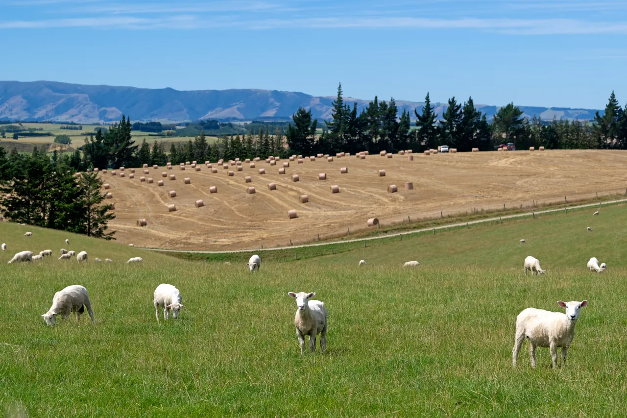 Farmland