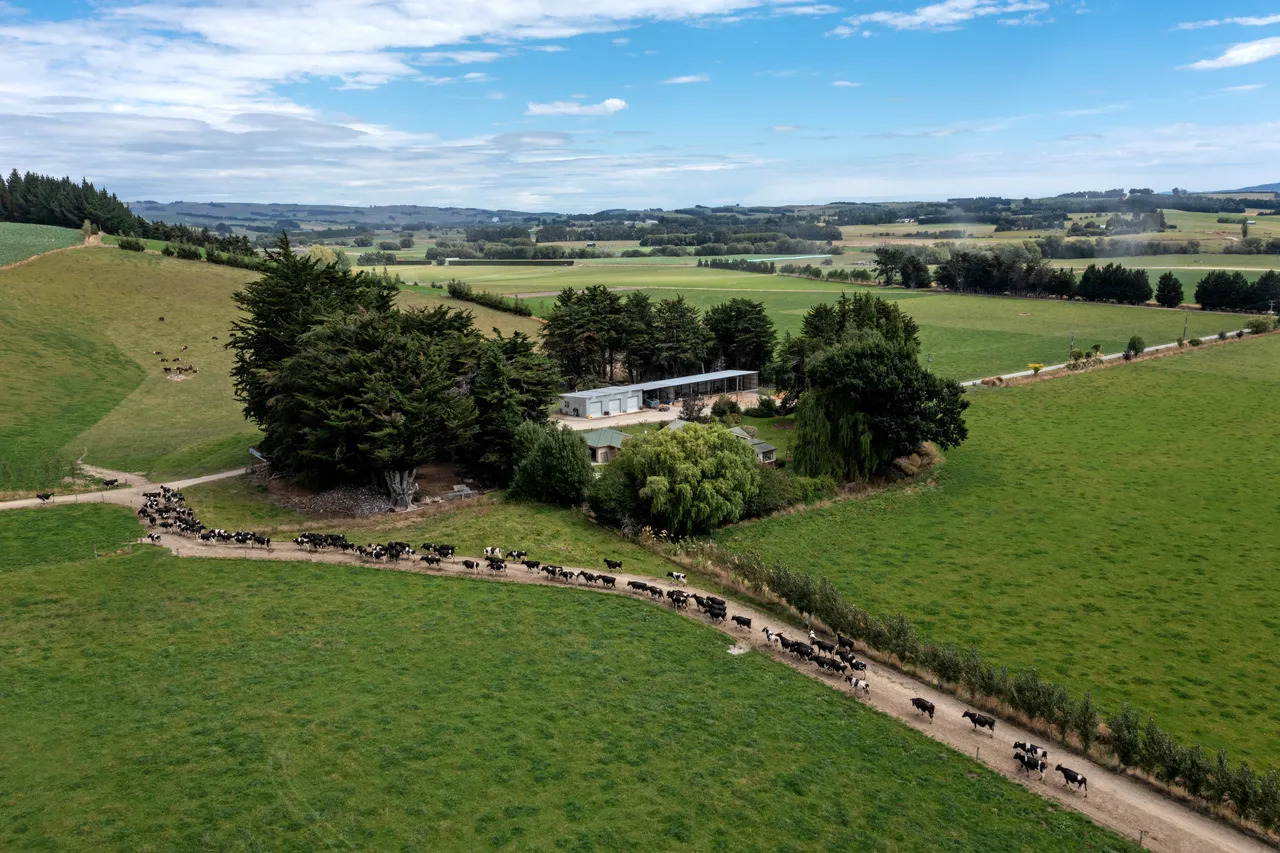 Dairy Farm