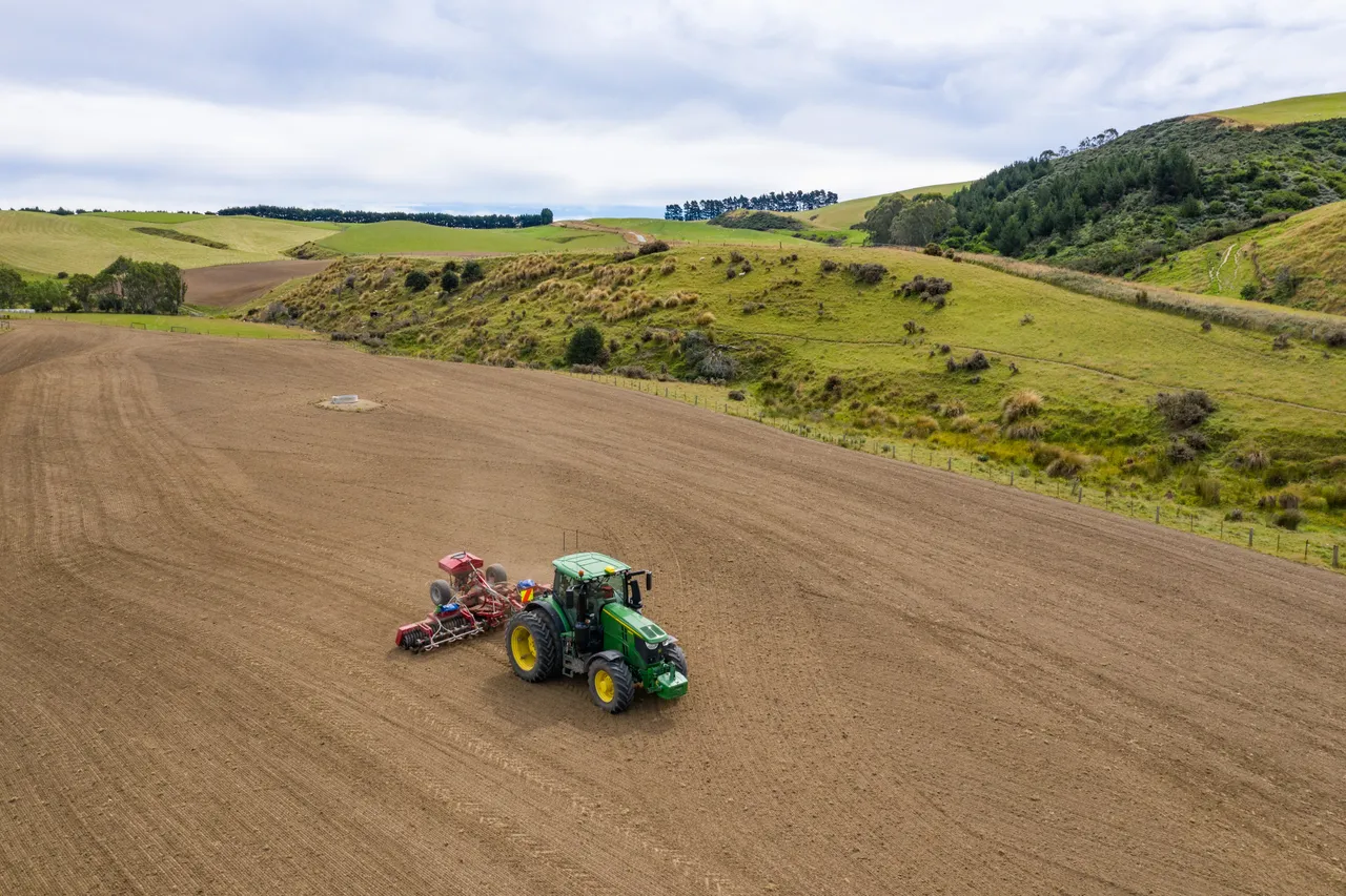 Cultivation in Summer