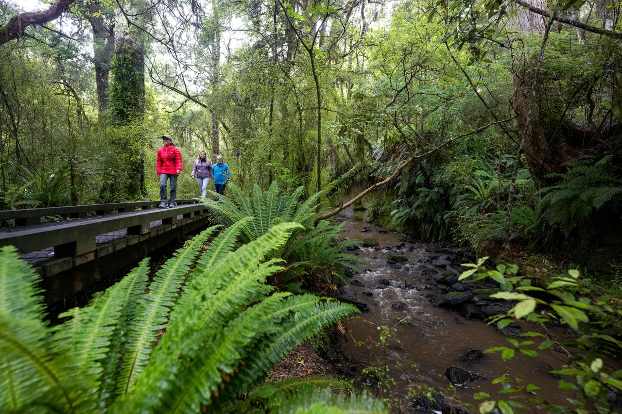 Dolamore Park