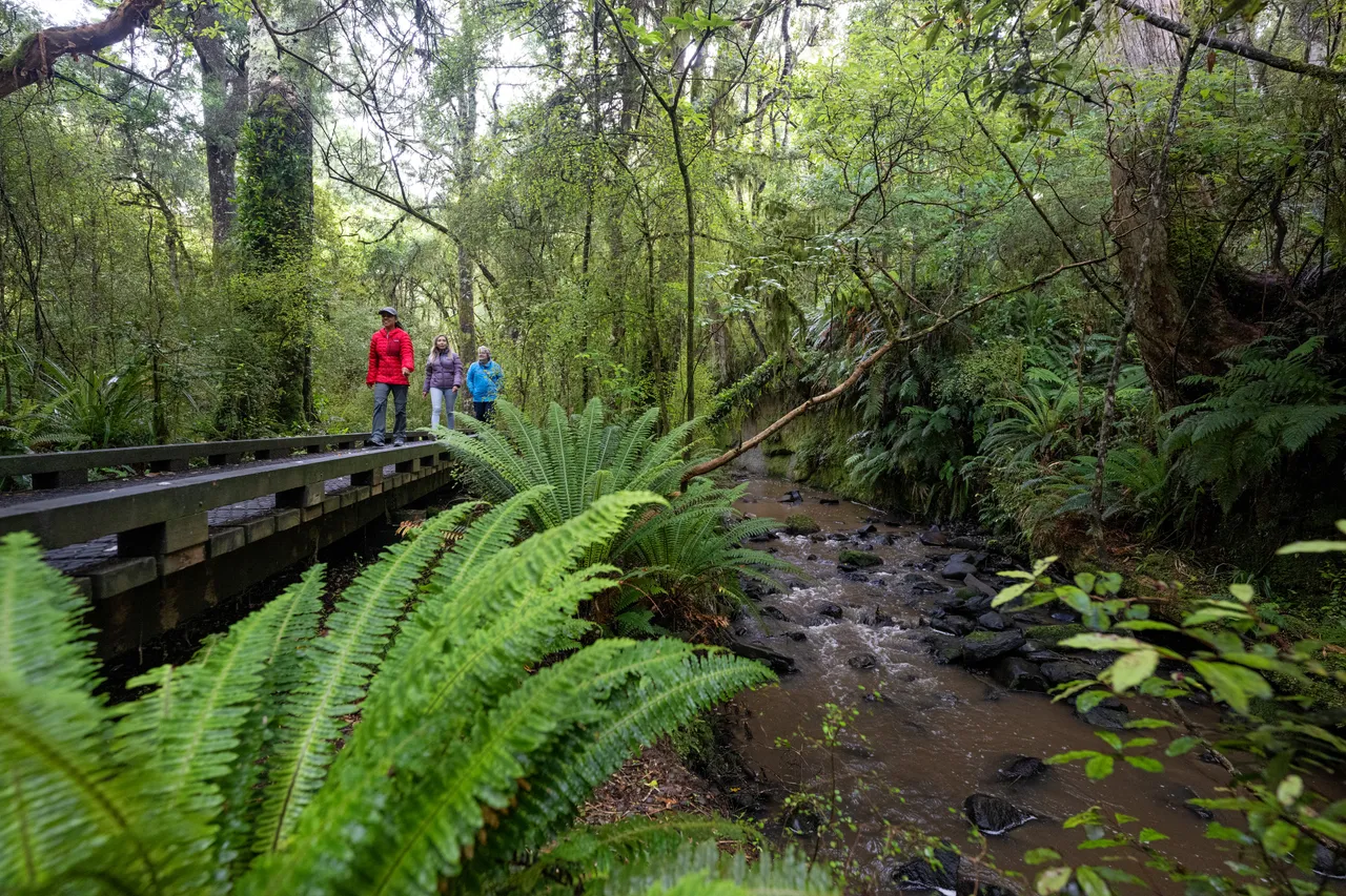 Dolamore Park