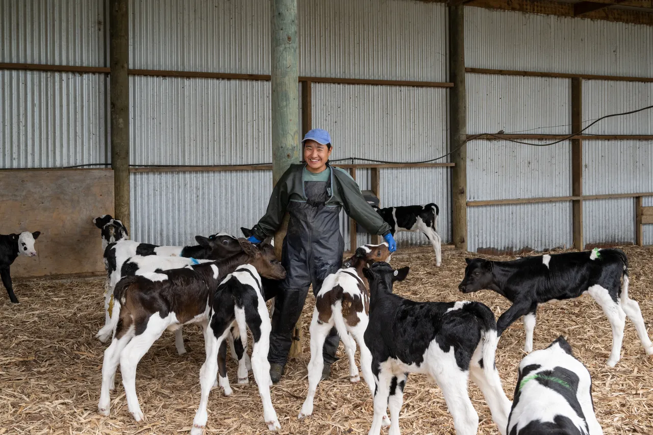 Dairy Farming