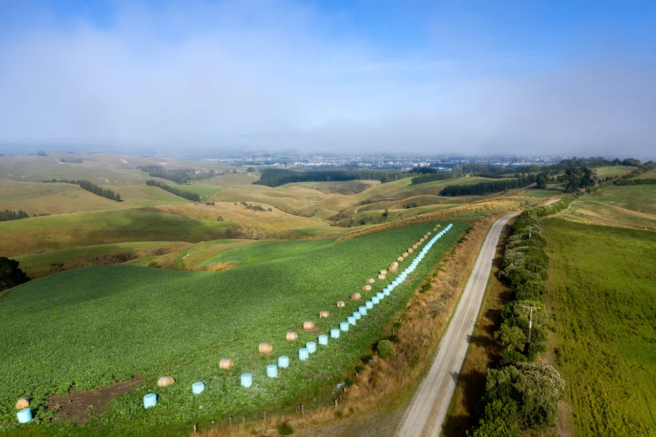 Rolling Hills 